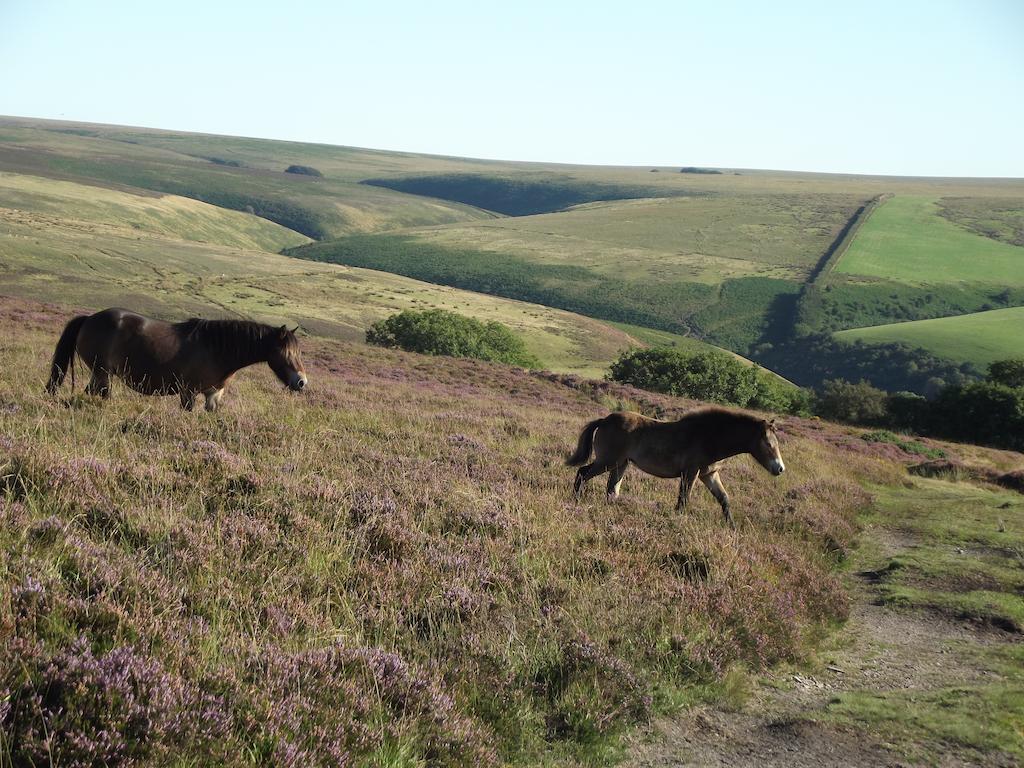 Lee House Bed & Breakfast Lynton Bagian luar foto